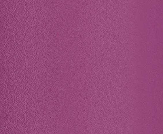 Magenta   Stainless Steel
